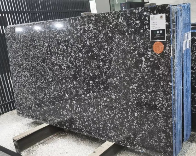 Sea Shell Marble Sea Shell Marble