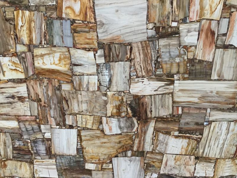 Natural Petrified Wood Agate Gemstone Slab Natural Petrified Wood Agate Gemstone Slab