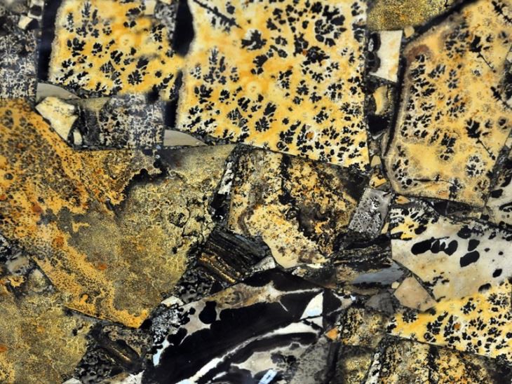 Luxury Yellow Fossil Agate Slab