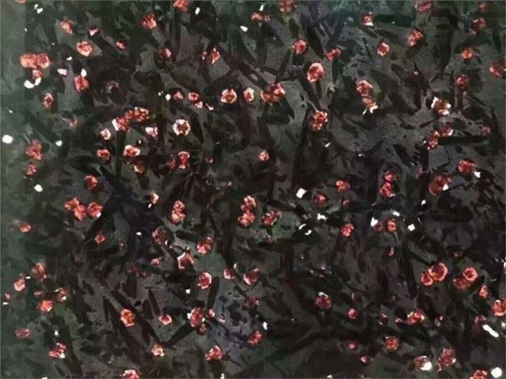 Meteorus Granite Slab