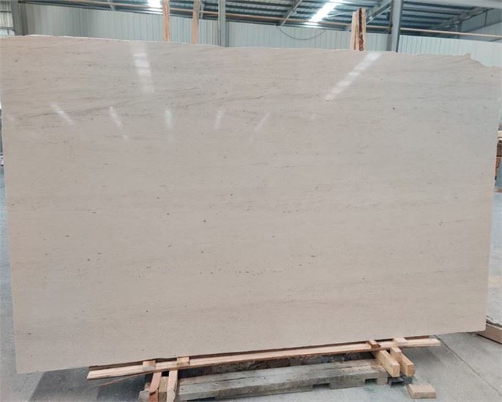 ألواح الحجر الجيري من الخشب المتحجر