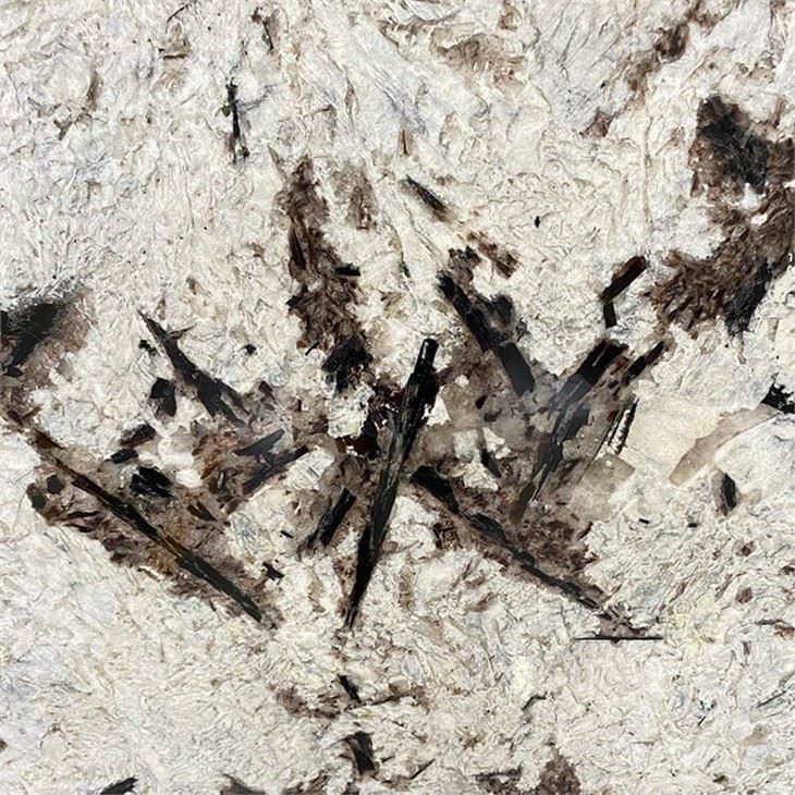 Splendor White Granite (5) Splendor White Granite (5)