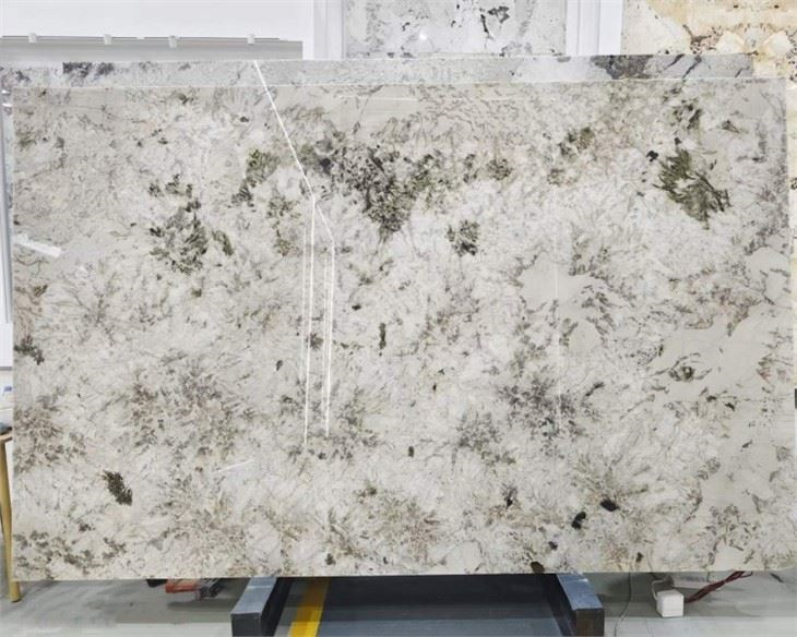 Imported Alaska White Granite Slab