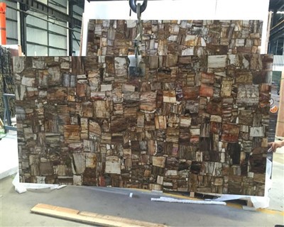 الخشب المتحجر شبه الكريم